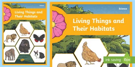 drawings of living things|Year 5 Science: Living Things and Their Habitats .